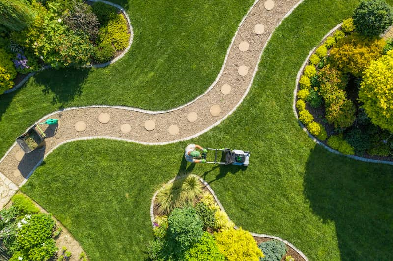 What Animal Defecation Does To Your Yard
