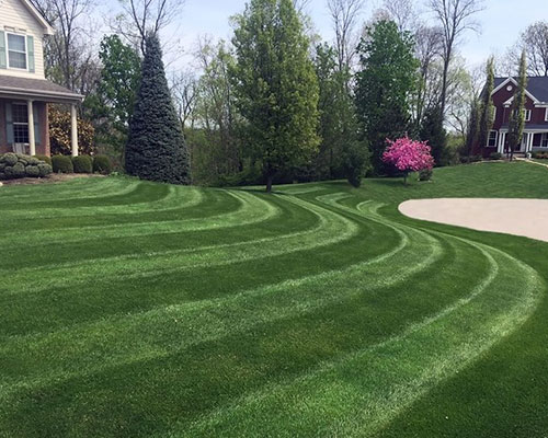 A Seasonal Lawn Care Calendar for Fayetteville Homes